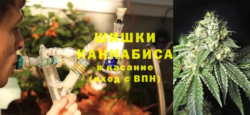 гидра tor  где купить наркоту  Печора  Каннабис Ganja 